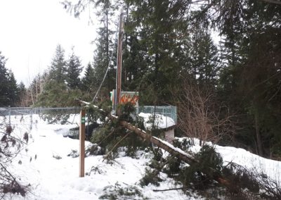 Cleaning the trails of Little Mountain Park after a snow storm