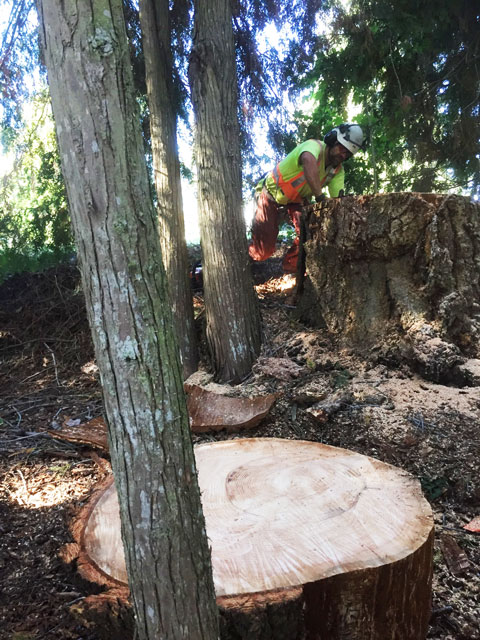 Daniel-Bardy-at-work