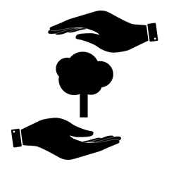 Tree care and maintenance