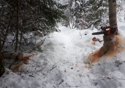 Winter trail clean up