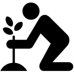 Tree planting and transplanting